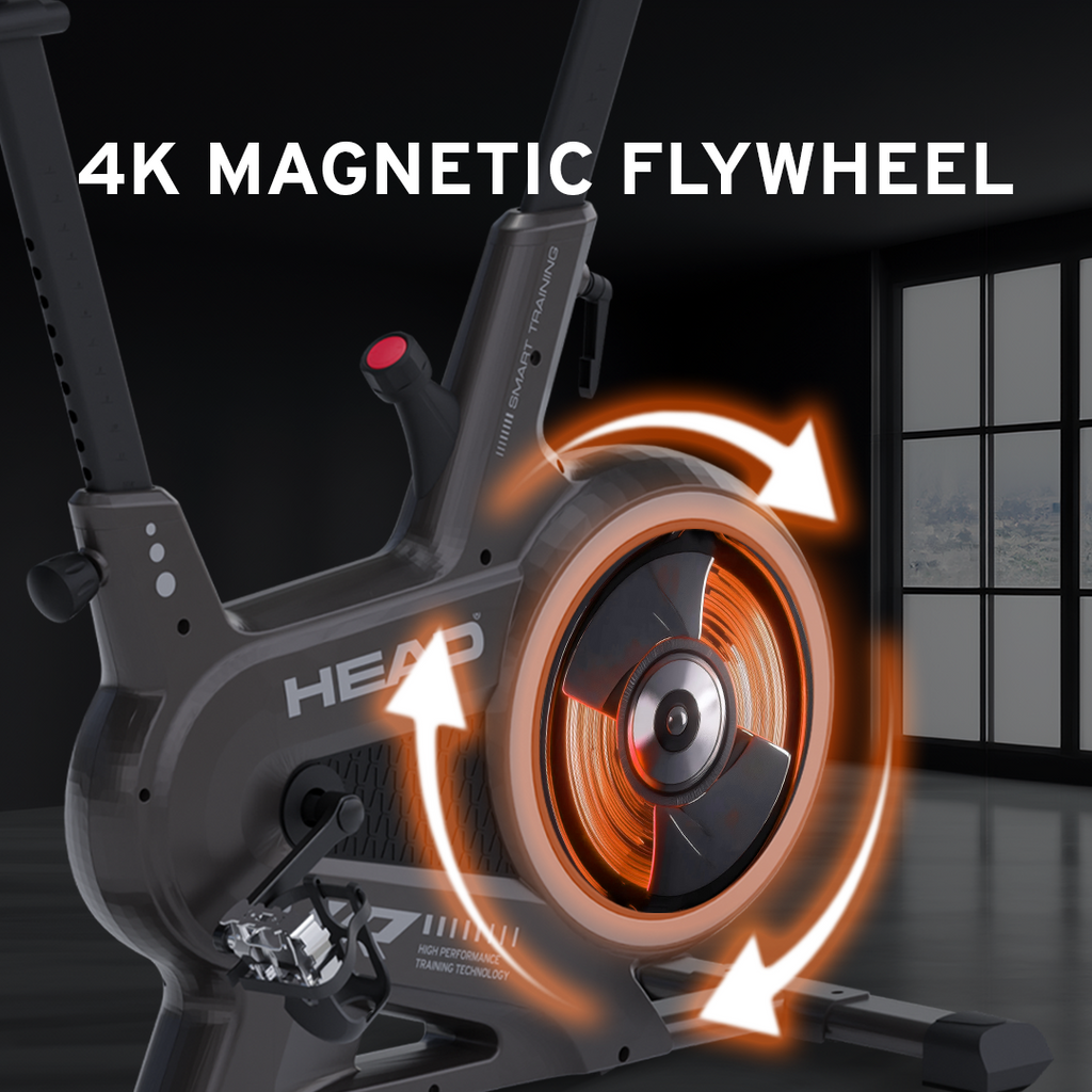 BICICLETA FIJA H9301P