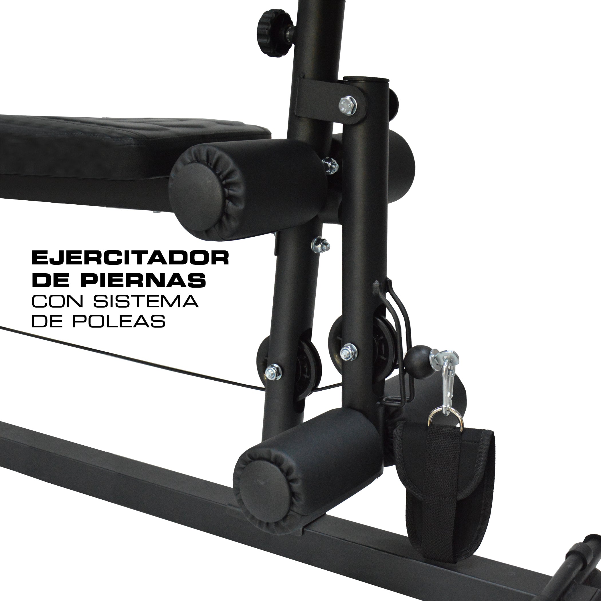 Gimnasio Pro Fit